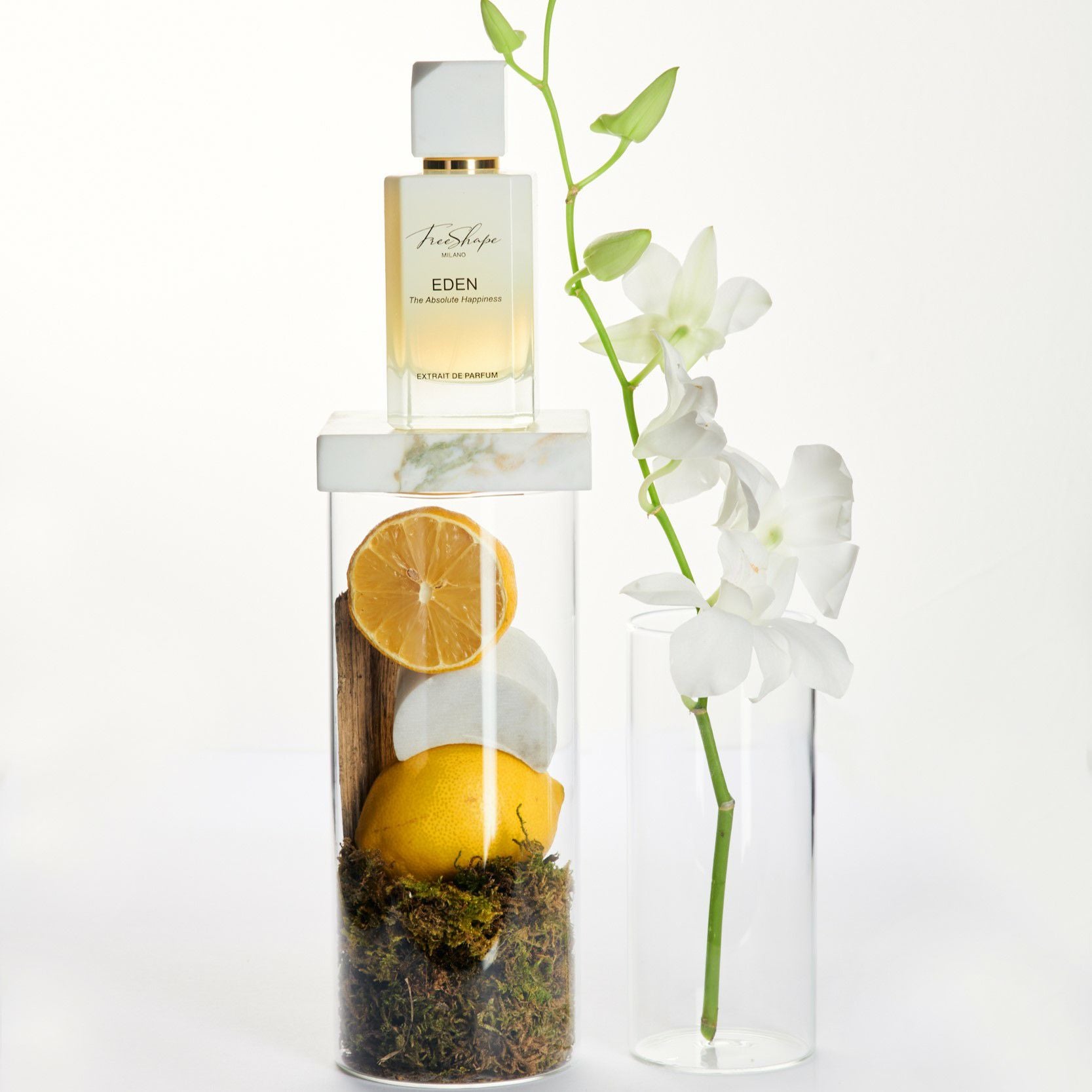 FreeShapeMILANO フリーシェイプミラノ 「余韻」100ml フリーシェイプ ミラノ/EYWA 100ml | AINEXX ONLINE（アイネックス